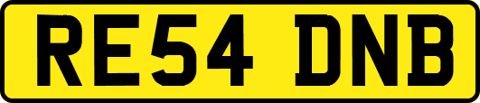 RE54DNB