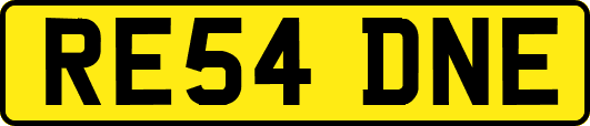 RE54DNE