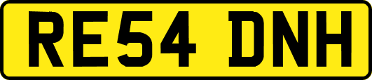 RE54DNH