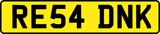 RE54DNK
