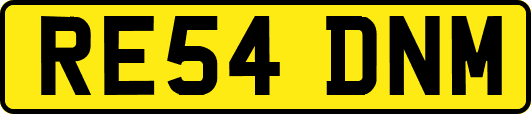 RE54DNM
