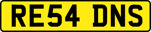 RE54DNS