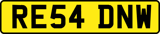 RE54DNW