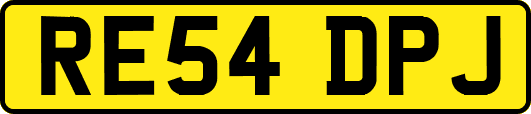 RE54DPJ