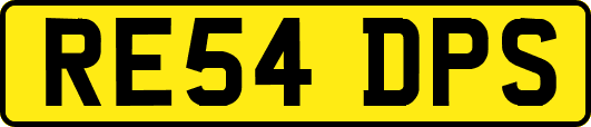 RE54DPS