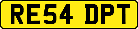 RE54DPT