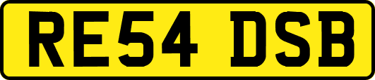 RE54DSB