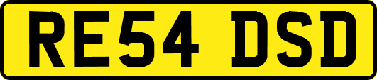 RE54DSD