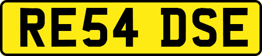RE54DSE