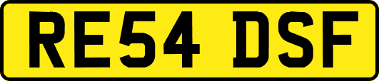 RE54DSF