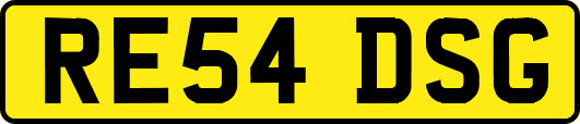 RE54DSG