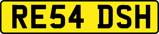 RE54DSH