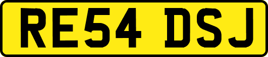RE54DSJ