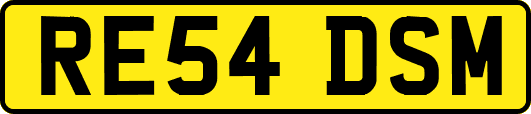 RE54DSM