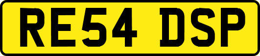 RE54DSP