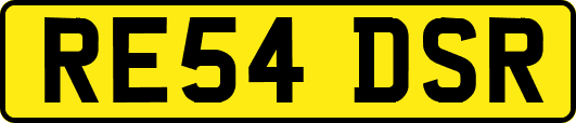 RE54DSR
