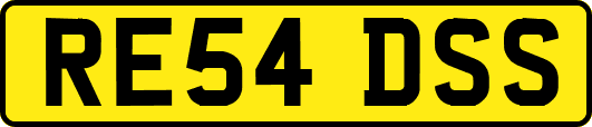 RE54DSS