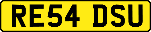 RE54DSU