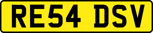 RE54DSV