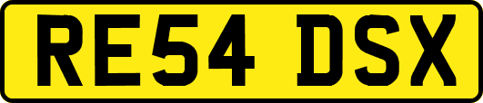 RE54DSX