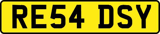 RE54DSY
