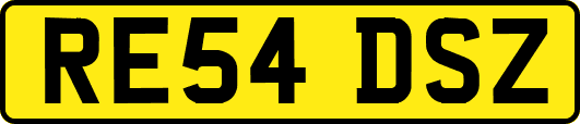 RE54DSZ