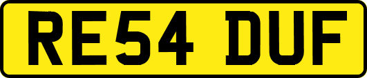 RE54DUF