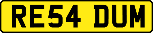 RE54DUM
