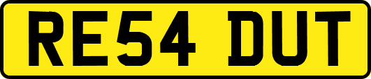 RE54DUT