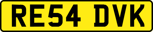 RE54DVK