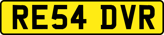 RE54DVR