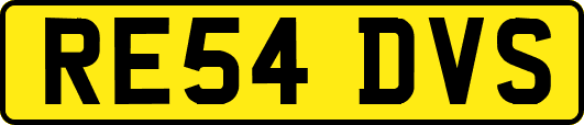 RE54DVS