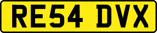 RE54DVX