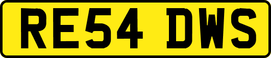RE54DWS