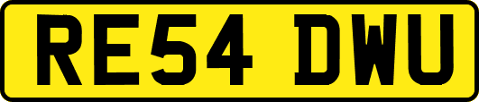RE54DWU