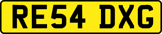 RE54DXG