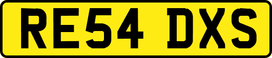 RE54DXS