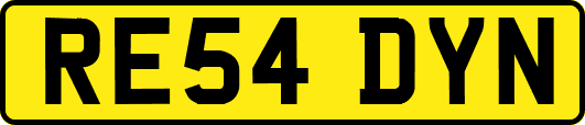 RE54DYN