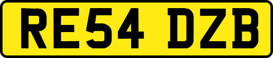 RE54DZB