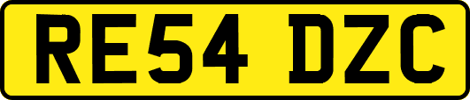 RE54DZC