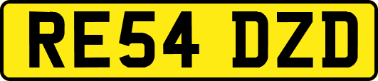RE54DZD