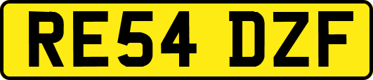 RE54DZF