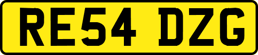 RE54DZG