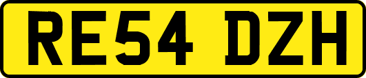 RE54DZH
