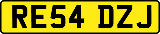 RE54DZJ