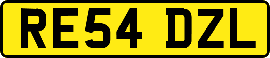RE54DZL