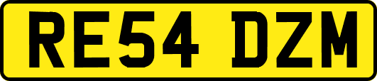 RE54DZM