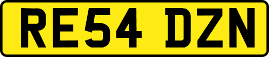 RE54DZN