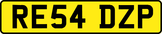 RE54DZP