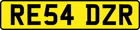 RE54DZR